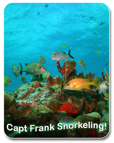 Snorkeling Photo Puerto Rico